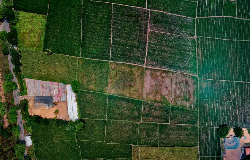 Aerial view of a field