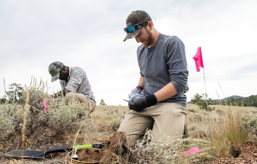 Two researchers out in the field