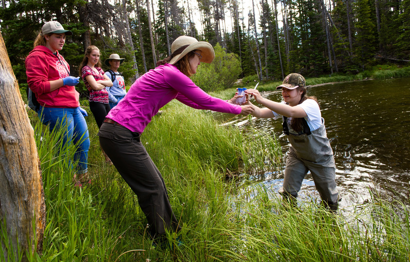 A group of students work in a river together