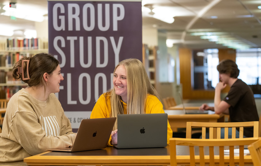 Two students study together in the library