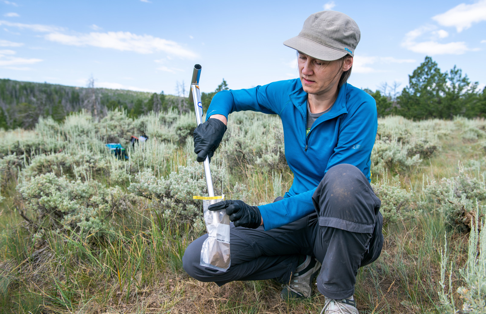 A researcher out in the field