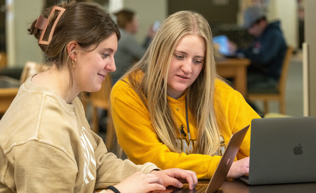 Two students working on laptop computers