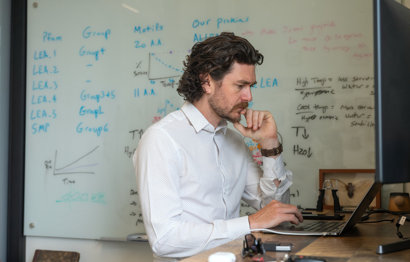 A faculty member focuses on their computer screen in their office