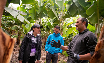 Researcher teaches class about sustainability in the forest during a study abroad trip