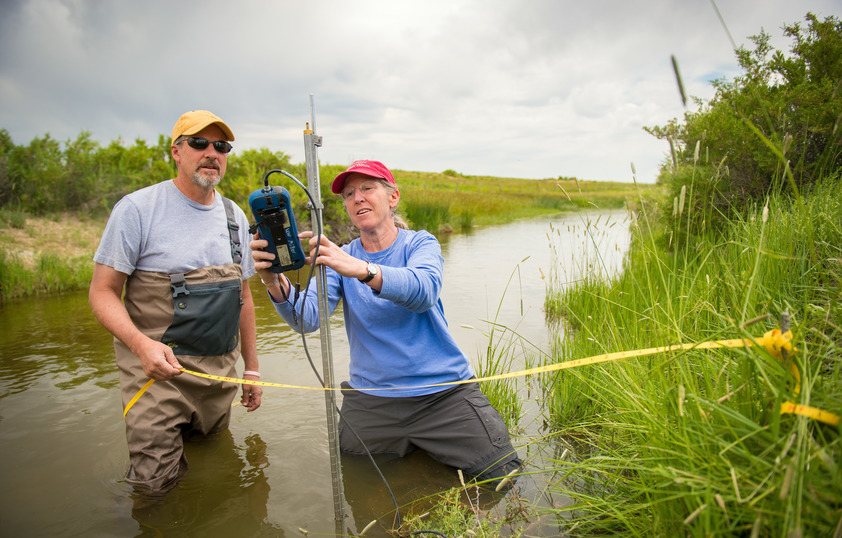 Two researchers in a river