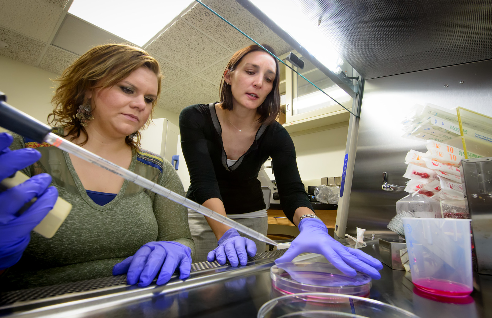 Researchers in lab