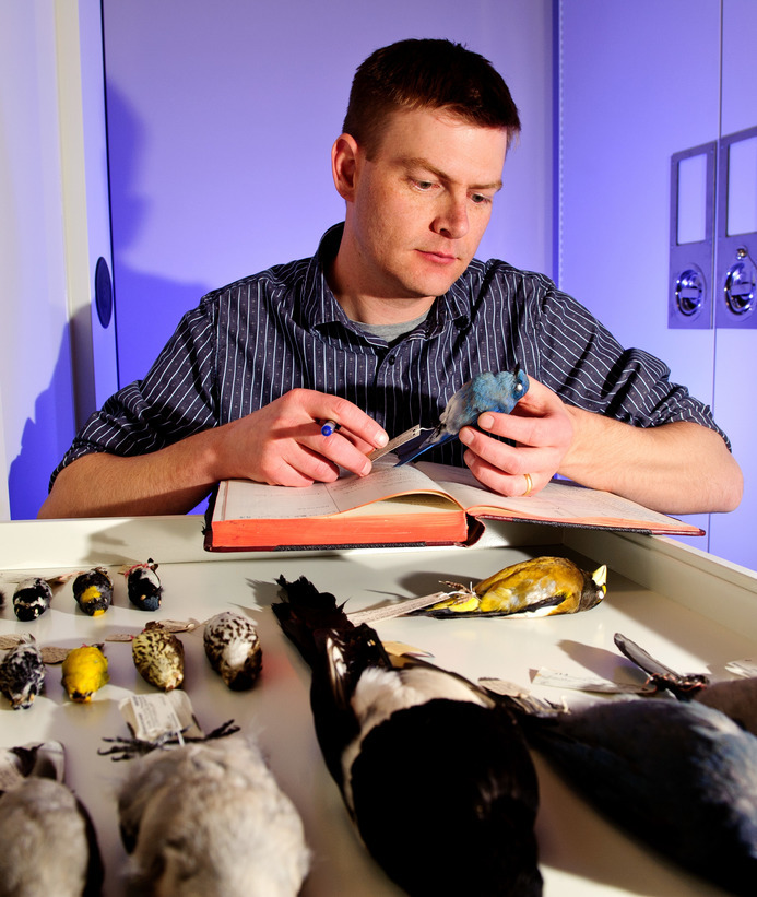 Zoology student looks at birds
