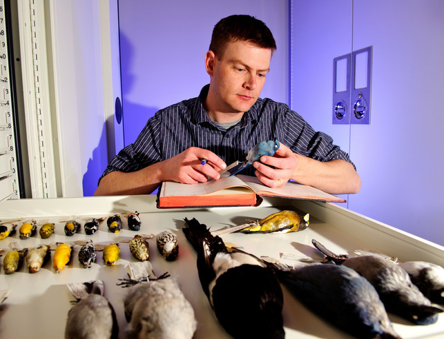 Zoology student looks at birds