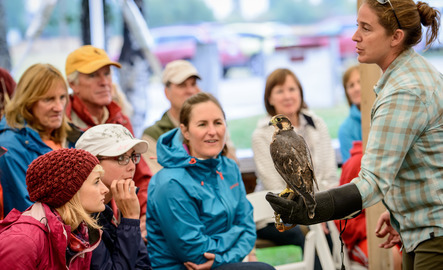 Zoologist holds a golden eagle in front of a crowd