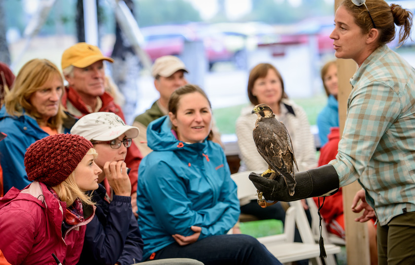 Professor teaching with owl on arm