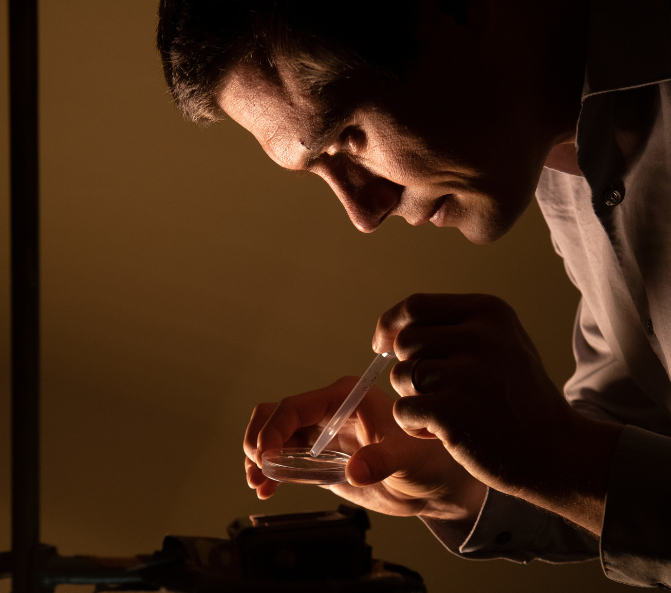 Researcher examining a petri dish