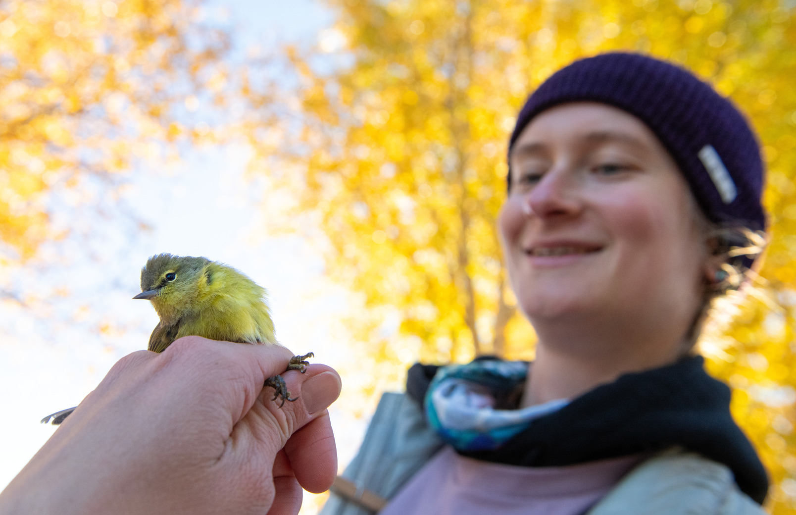 Student holding bird out in the field