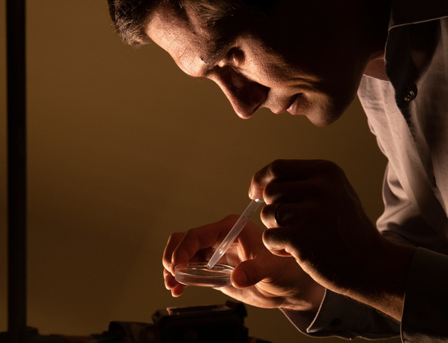 Zoology graduate student examines a petri dish