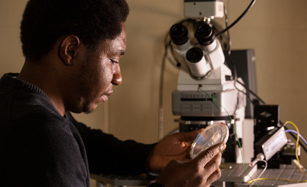 Student looks at petri dish