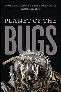 cover of bug book with a close up of a bug's head