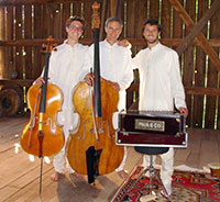 Three men with musical instruments standing in a barn
