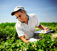man in field making notes on clipboard and looking at plants