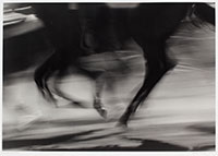 horse's legs moving in a blur