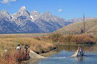 people putting a net into a stream with Teton mountain peaks in background