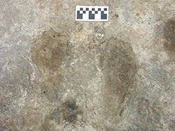 footprints in stone