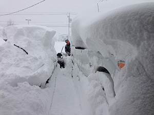 snow piled all over cars with person and dog seen between the cars