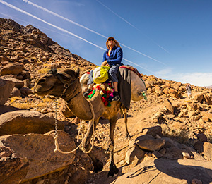 man riding a camel in rocky desert hills