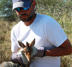 man holding a a dik-dik, and African antelope