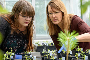 two women looking at sprouting plants