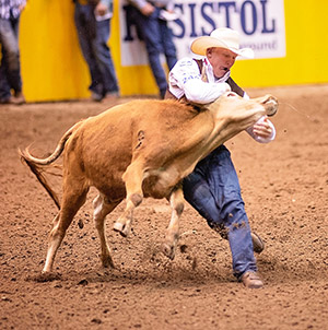 man wrestling a steer