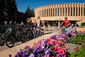 bicycles on campus