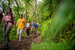 people walking on a trail in a forest