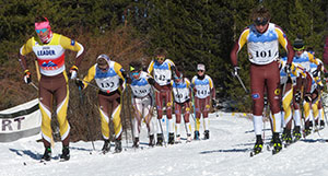 line of cross-country skiers ready to ski