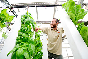 man in a greenhouse with vertical plant towers
