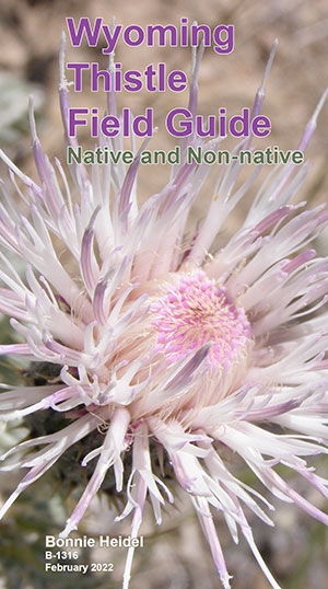 book cover with photo of thistle on it