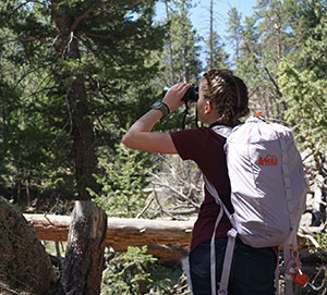 person with binoculars in wooded area