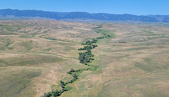overhead view of grasslands with stream running through them