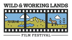 graphic for film festival