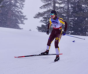person Nordic skiing