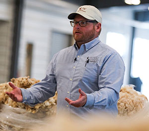 man with sheep fleeces around him