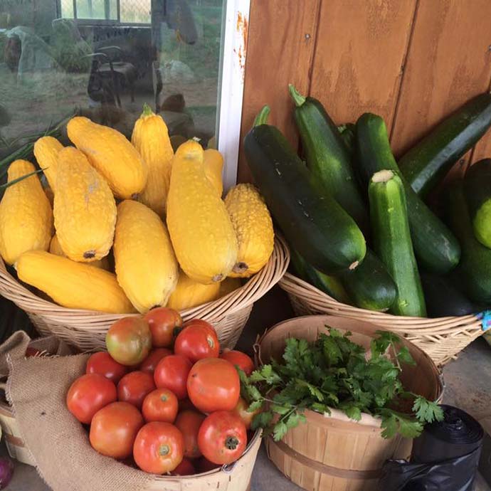 basket of vegetables