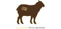 UW Branded Sheep