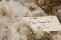 Wool