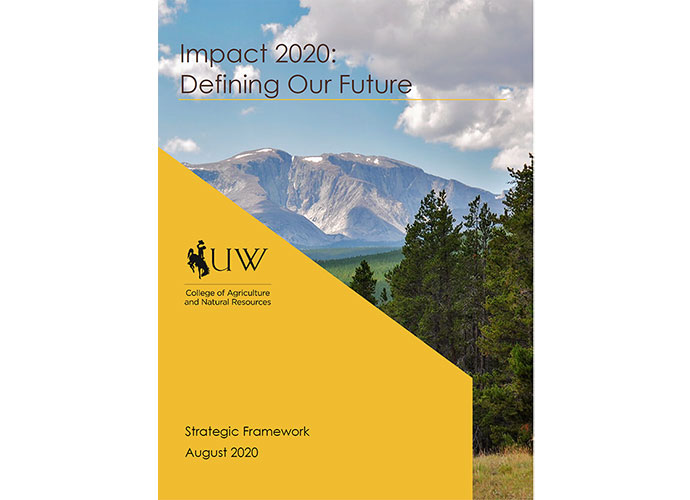 Impact 2020: Defining Our Future
