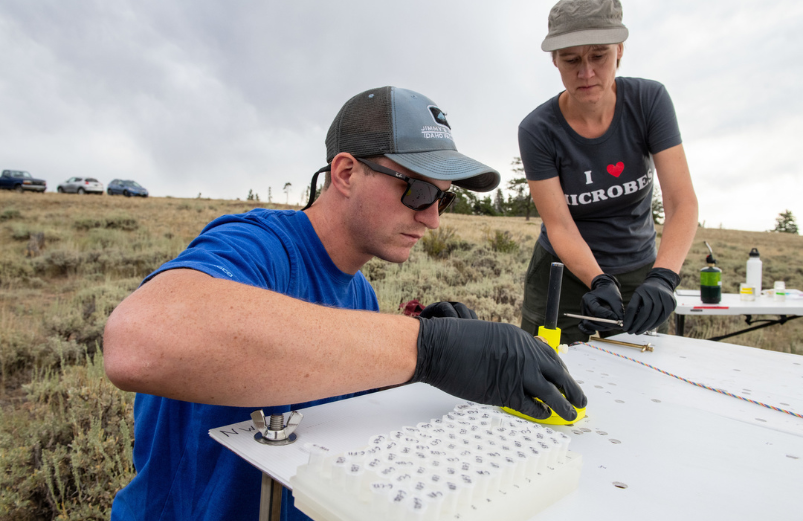 student collecting samples in the field