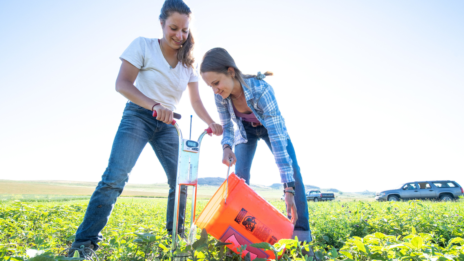 two students working in a field