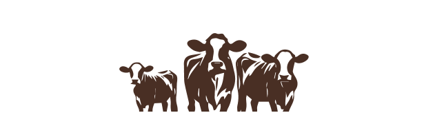 A graphic of cattle