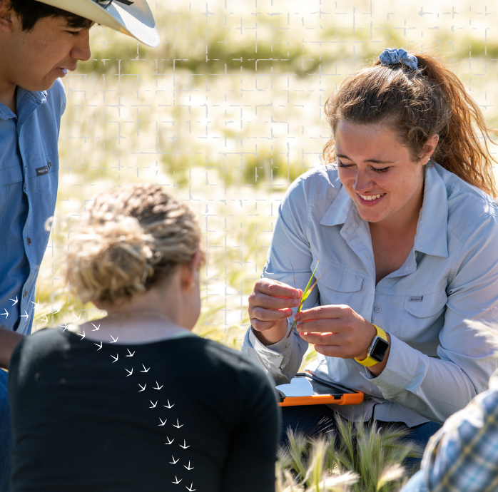 students in a feild.