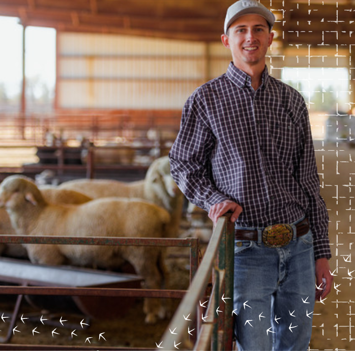 student stands next to a sheep stall.