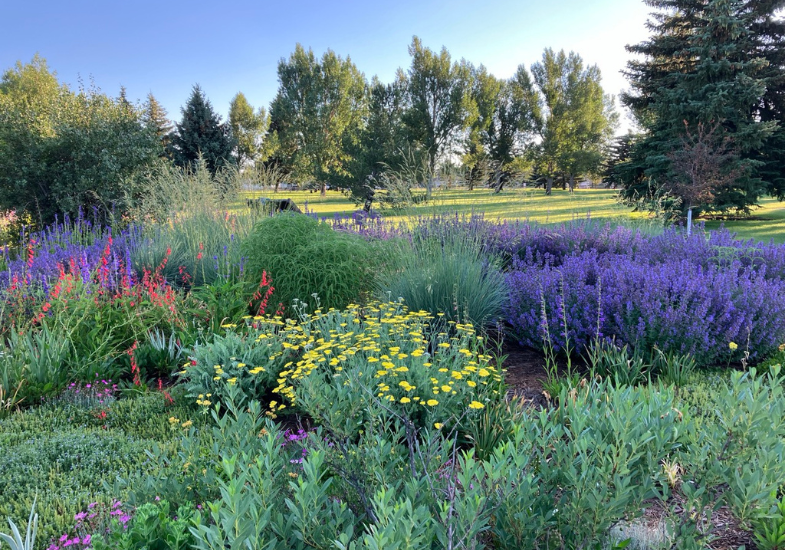 flower garden