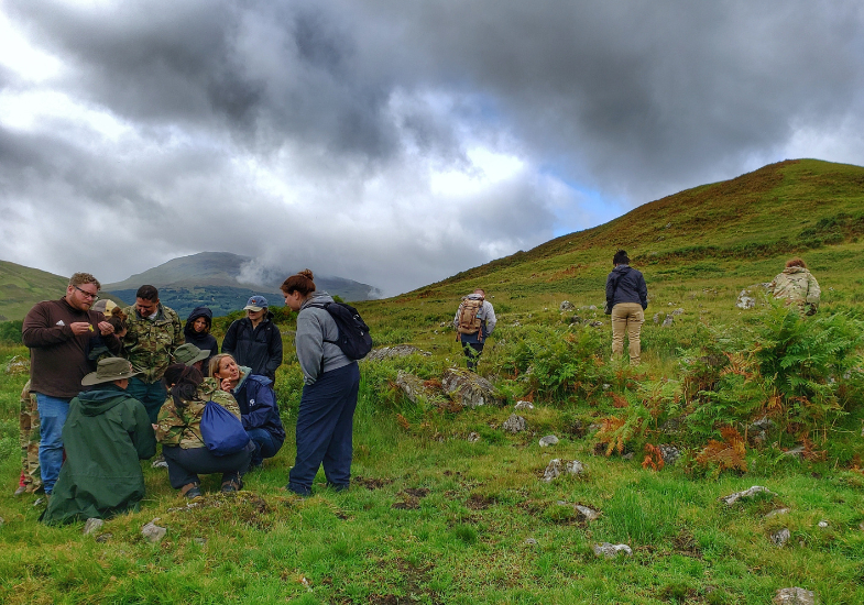 people on a green field looking at forages